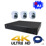 DIY Kit NYX 4ch NVR 2TB, 3 x DC6 6MP Ai Cameras