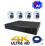 DIY Kit NYX 4ch NVR 2TB, 4 x DC6 6MP Ai Cameras